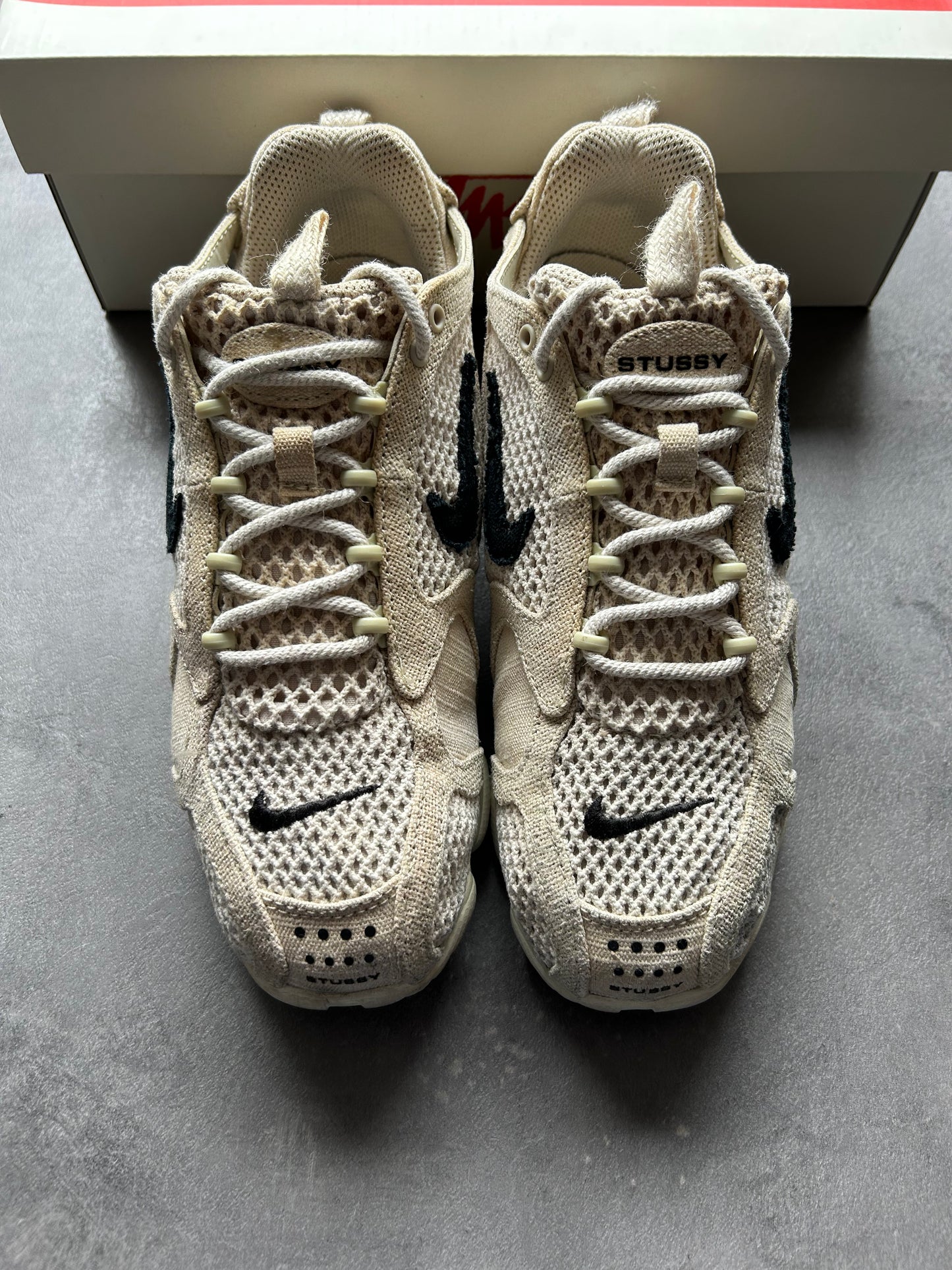 Spiridon Stussy Fossile