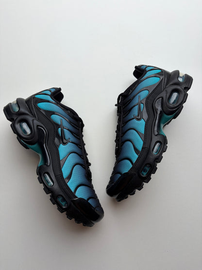 Air Max TN Black Dusty Cactus - Taille 37,5