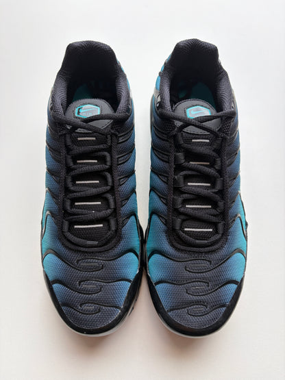Air Max TN Black Dusty Cactus - Taille 37,5