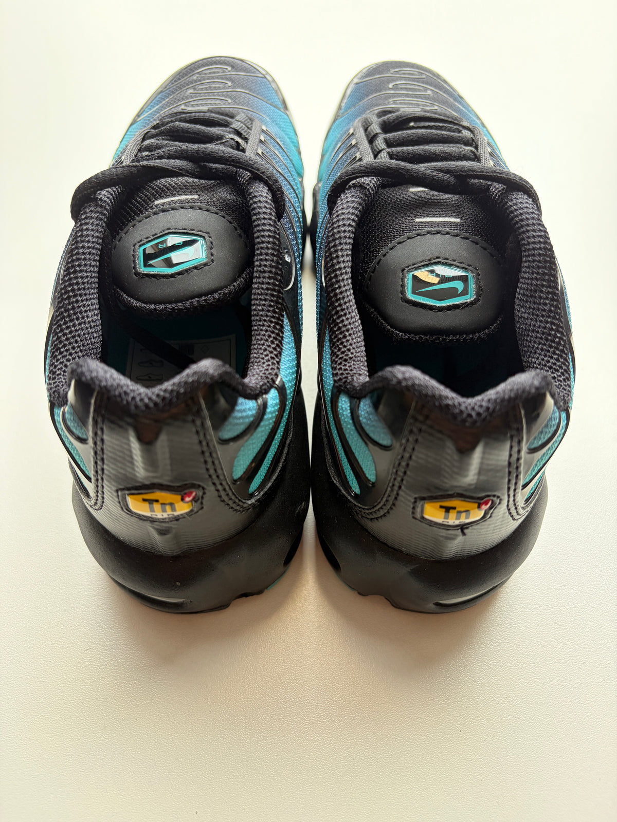 Air Max TN Black Dusty Cactus - Taille 37,5