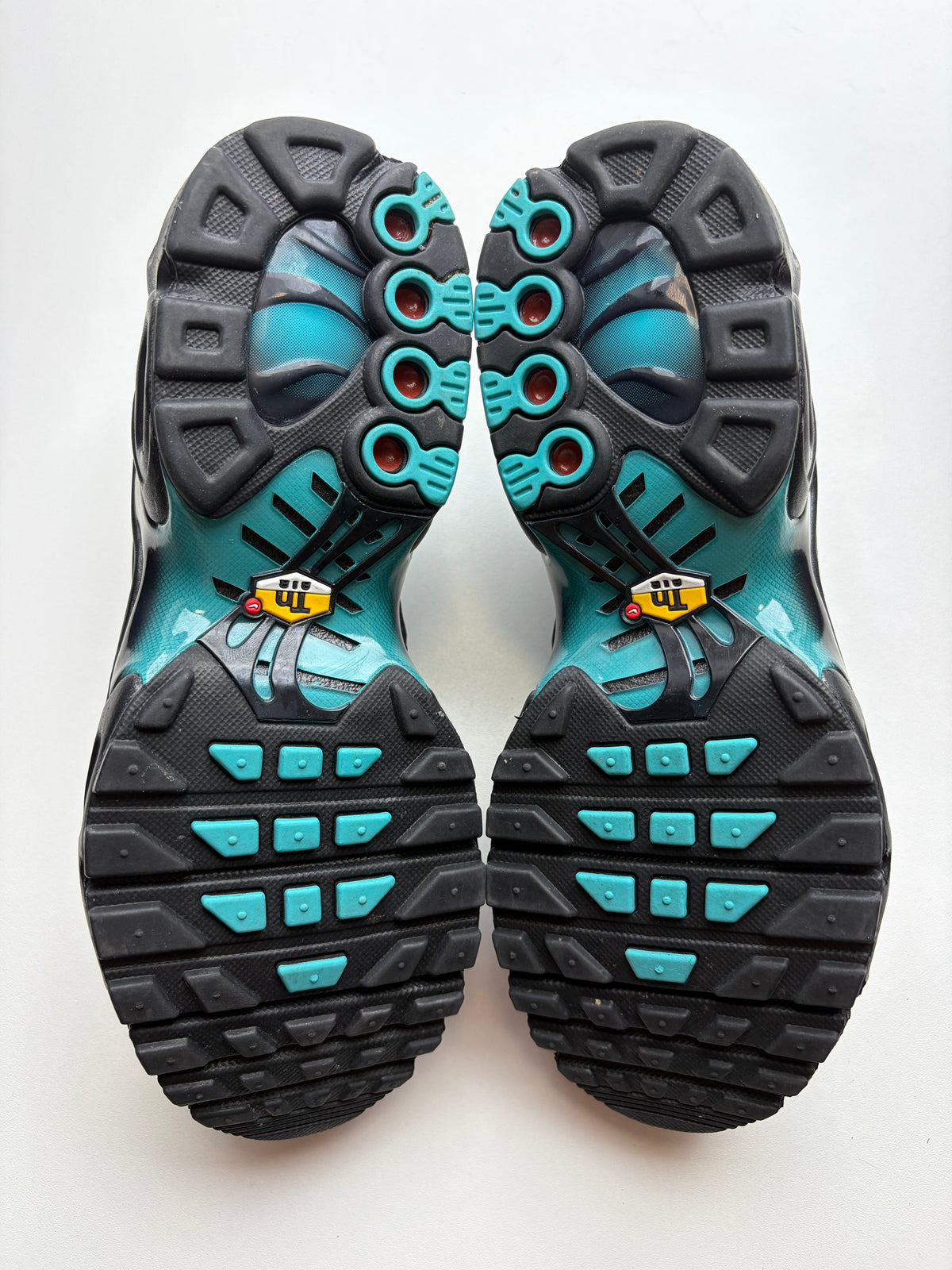 Air Max TN Black Dusty Cactus - Taille 37,5
