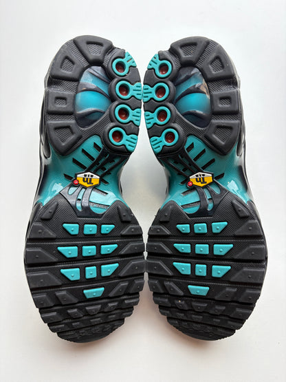 Air Max TN Black Dusty Cactus - Taille 37,5